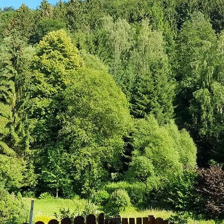 Art Apartment - Harz Stolberg  Zewnętrze zdjęcie