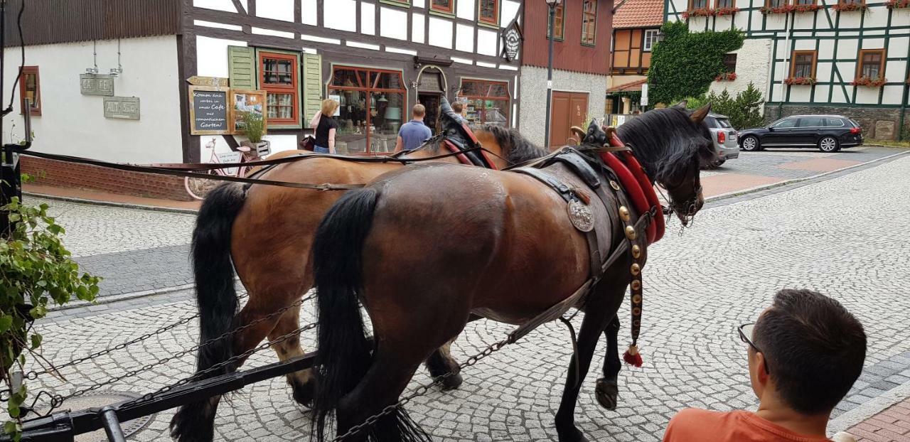 Art - Harz * Stolberg i. Harz