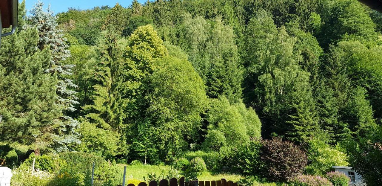 Appartamento Art - Harz